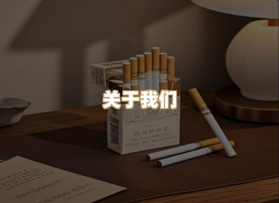 关于蓝帝网